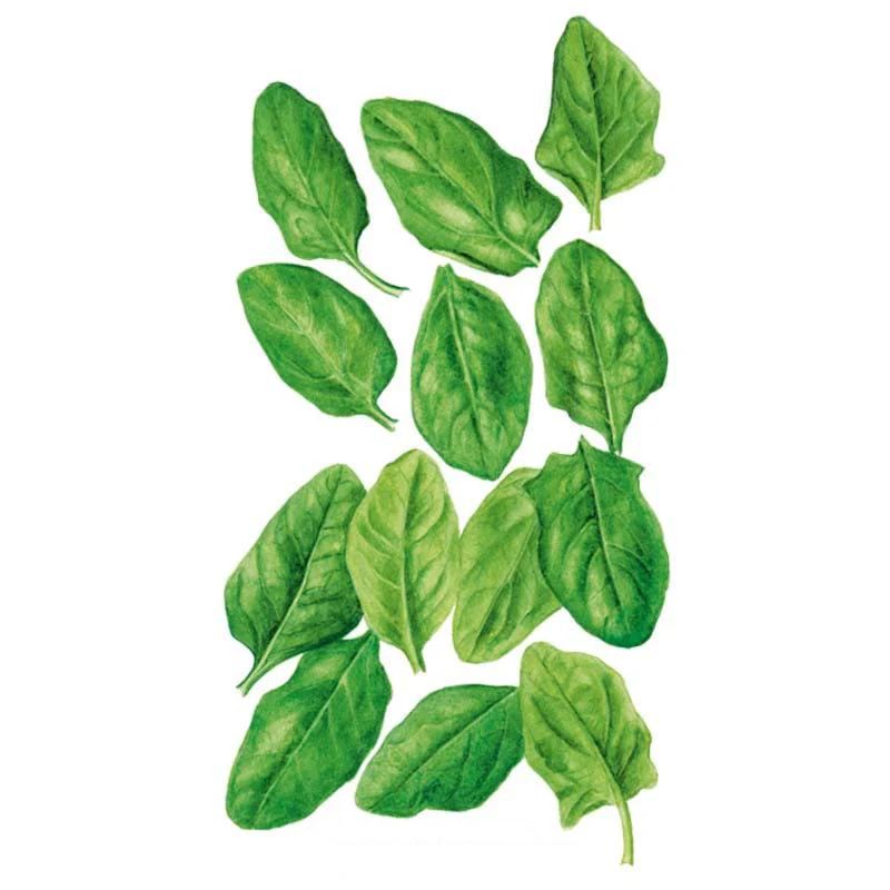 Oceanside Spinach