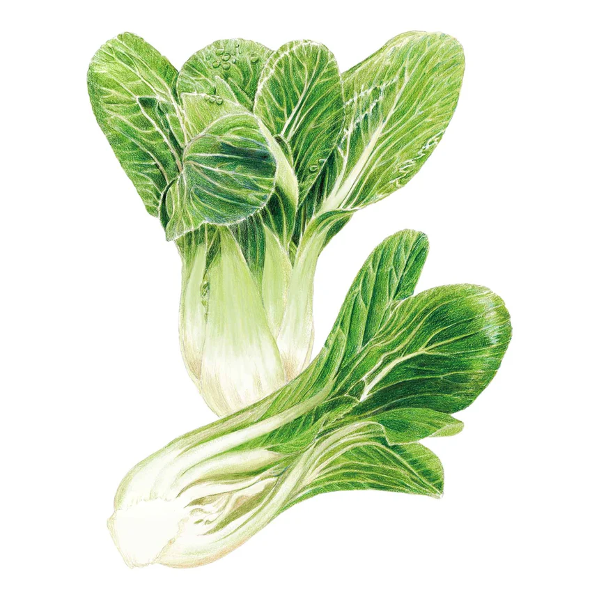 Bok Choy Choko