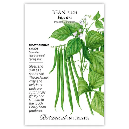 Ferrari Bush Bean