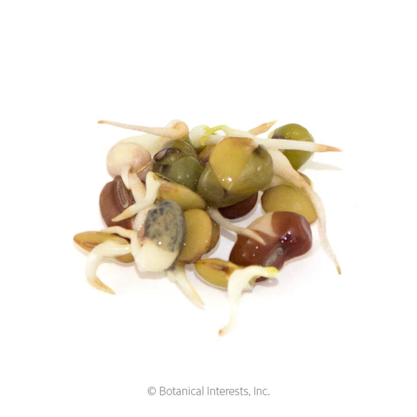 Bean Mix Sprouts