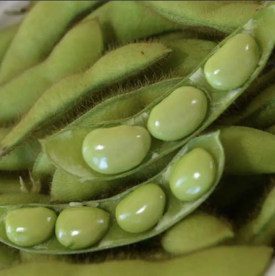 Fiskeby Soybean